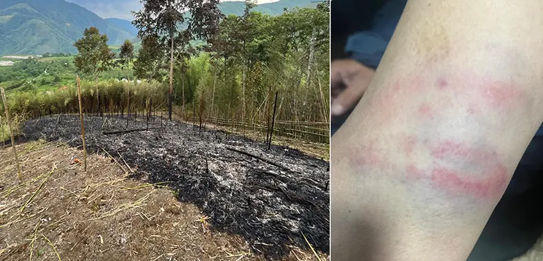 Forest fire inspection turns violent