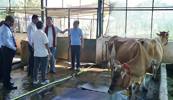 Wangsu lays foundation stone for modern cattle shed in Nirjuli