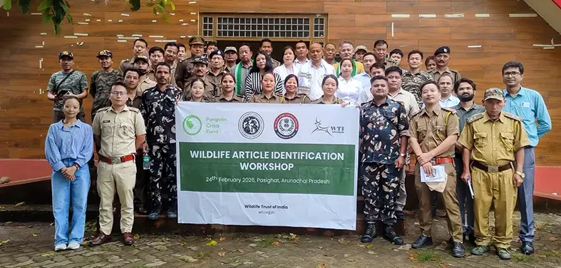 Workshop on wildlife article identification held