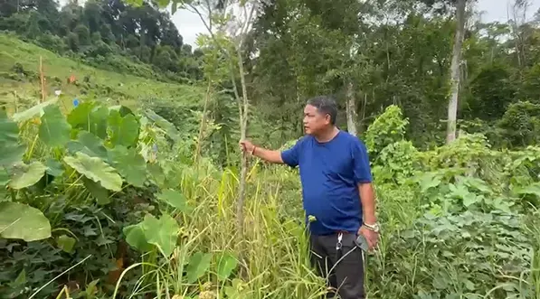 Progressive farmer seeks technical assistance