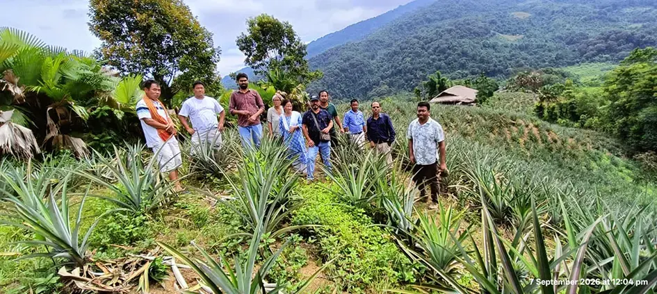 ICAR Basar conducts diagnostic field visit