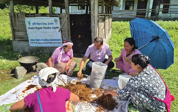 Demo prog on oyster mushroom held