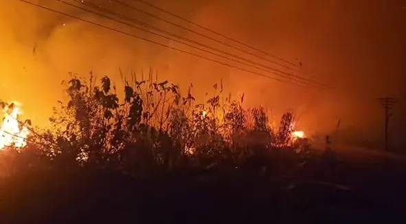 Forest fires in LDV keep administration on toes; advisories issued