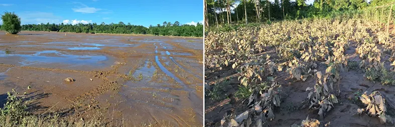 Ering seeks FDR funds for flood-hit East Siang
