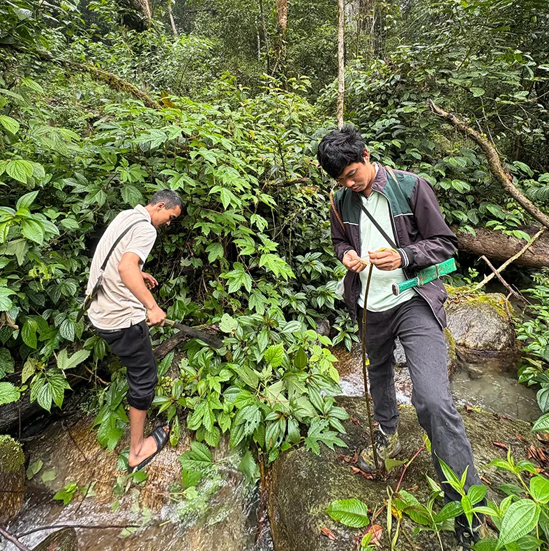 Men on a mission to revive extinct fabrics