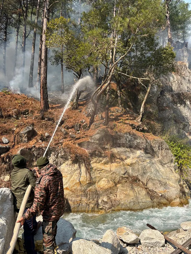 Defence personnel douse forest fire along Sino-India border