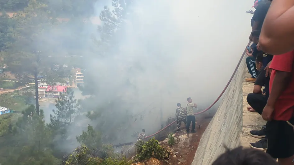 Massive forest fire brought under control