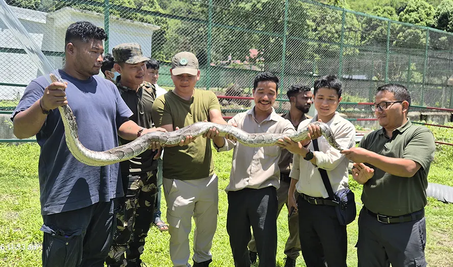 Forest officials trained in snake handing, identification