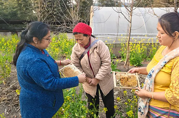 Training prog on climate-resilient beekeeping