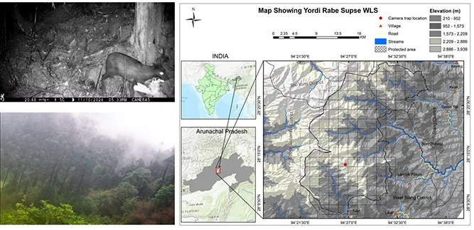Researchers document camera-trap image of musk deer from YRS Wildlife Sanctuary
