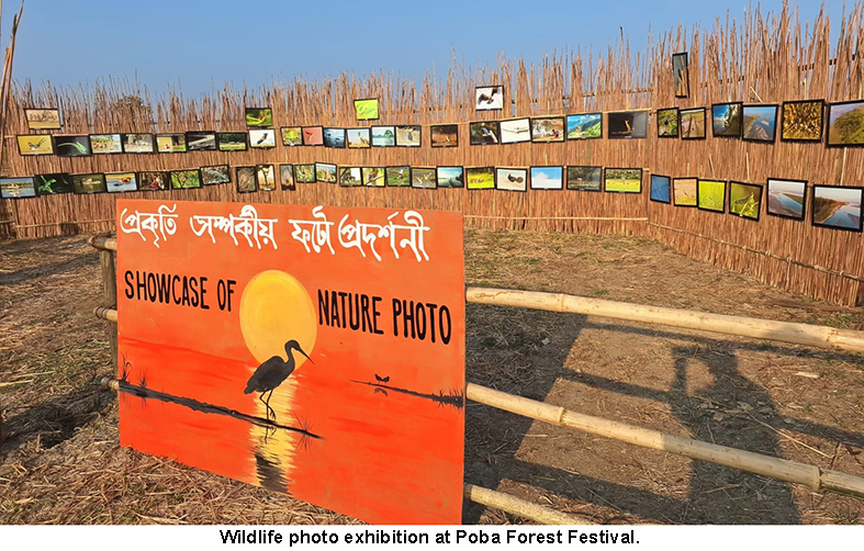 3rd edition of Poba Forest Festival begins