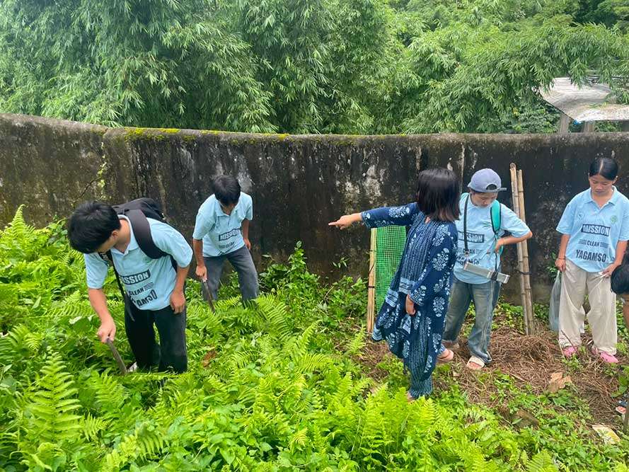 India has shown dedicated conservation efforts can make real difference: CM on Tiger Day