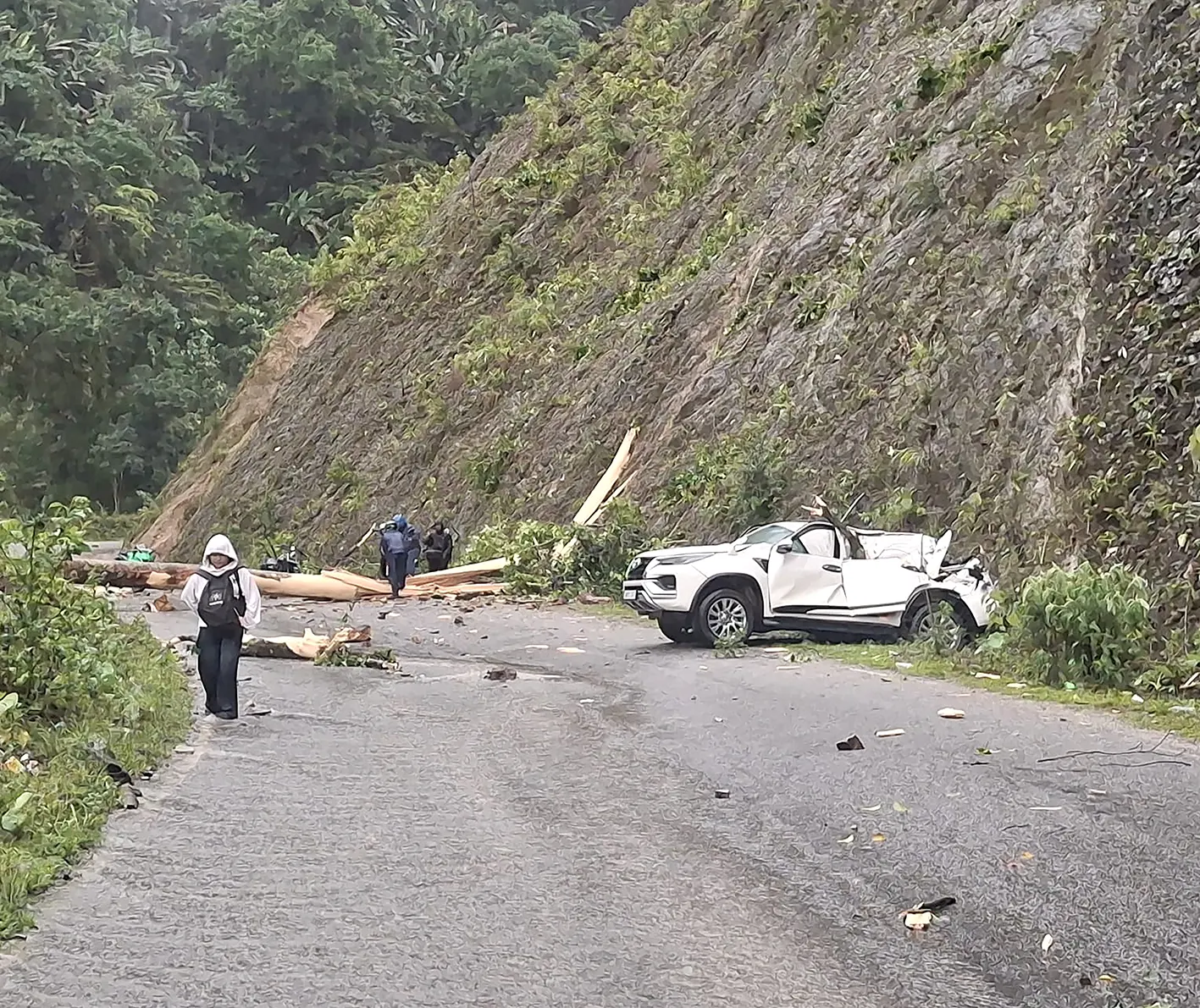 PWD engineer killed, 3 injured in two separate incidents of trees falling on vehicles
