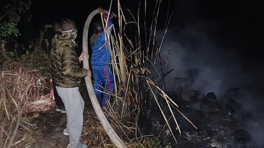 Forest dept controls two major forest fires