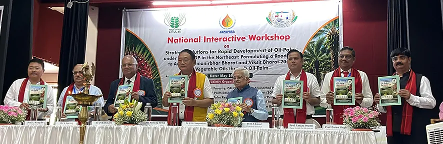 Workshop on oil palm dev underway at CHF