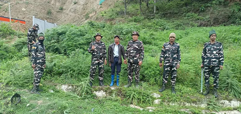 SSB, police destroy wild cannabis